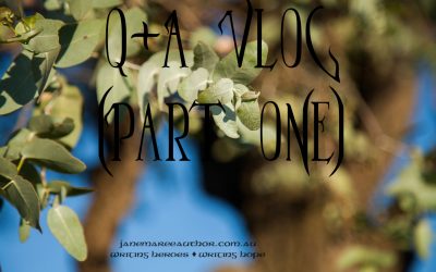 Q+A Vlog (Part One)